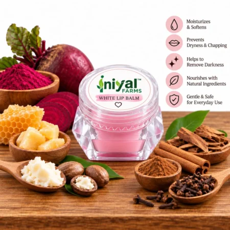 Lip Balm