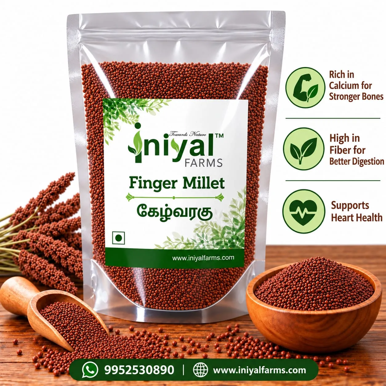Ragi Millet
