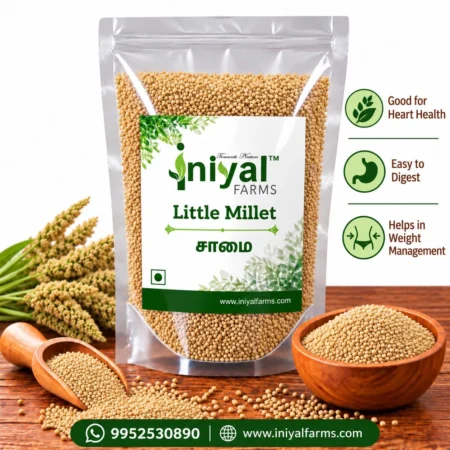 Little Millet